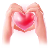 Heart Signal